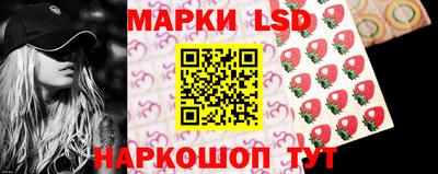 гашик Донской