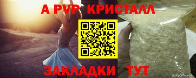 гашик Донской