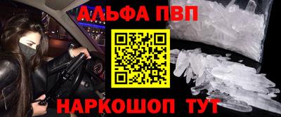 гашик Донской
