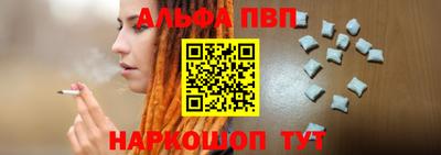 гашик Донской